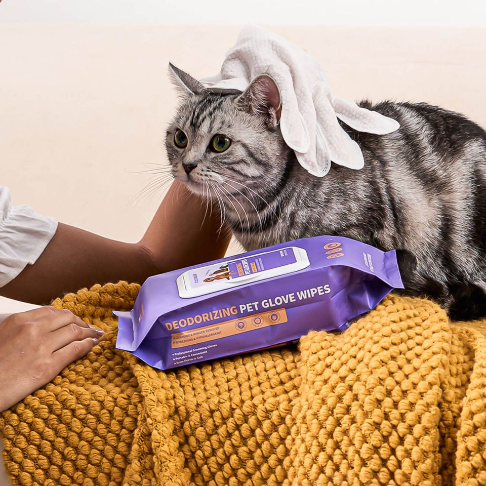 Glove cleaning wipes for pets