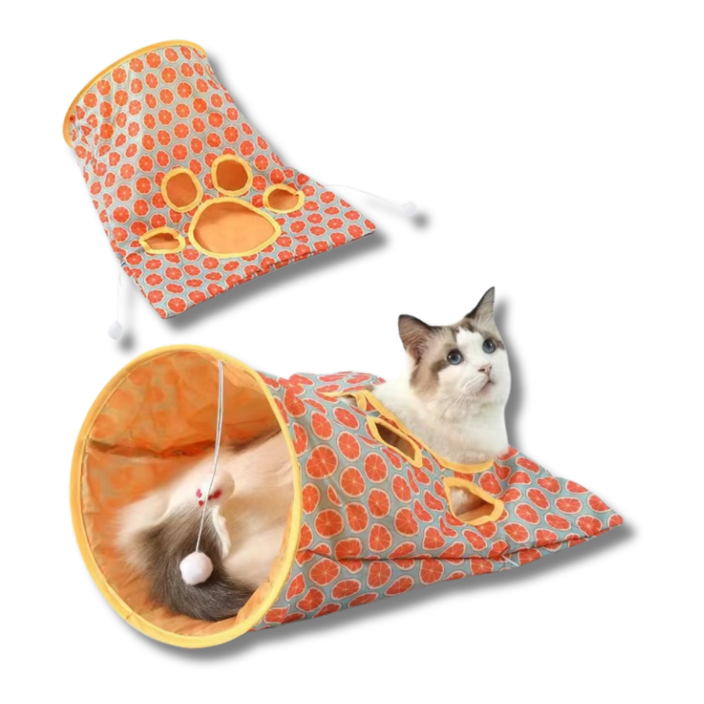 PurrGlide Tunnel