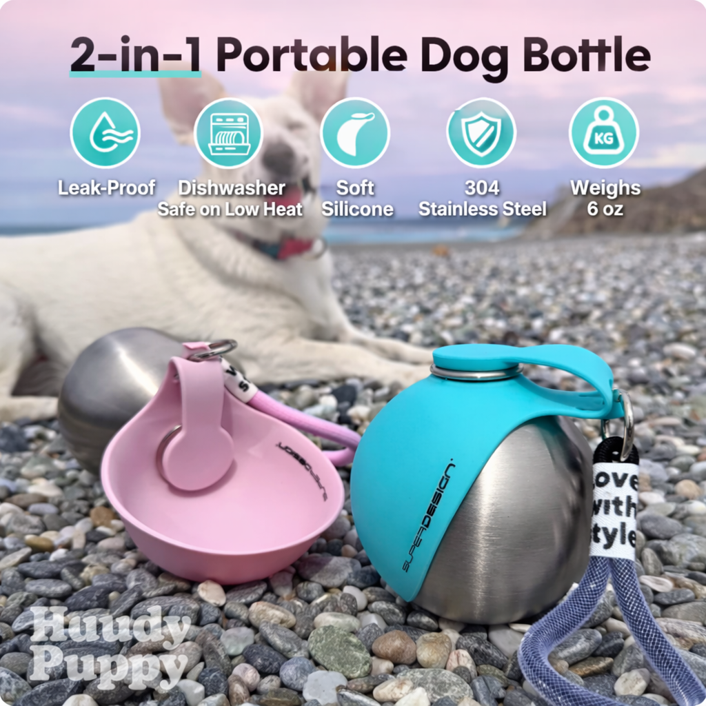 Portable Pet Water Bottle with Foldable Bowl – Easy Hydration On the Go