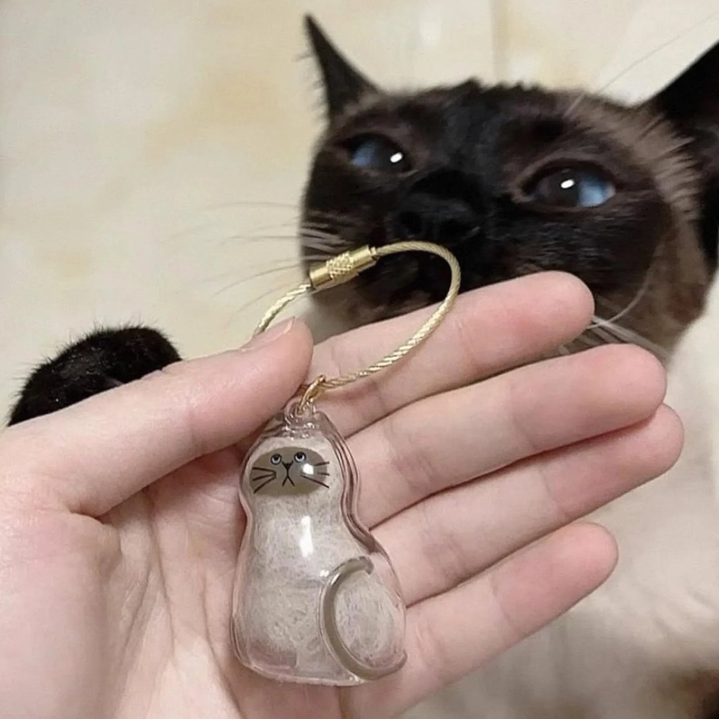 Cat Hair Keepsake Keychain