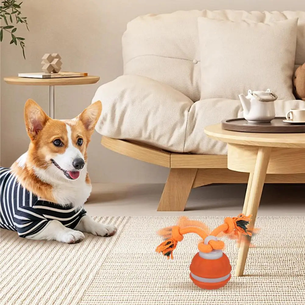 Smart Interactive Rechargeable Dog Ball – Automatic Motion Training Toy