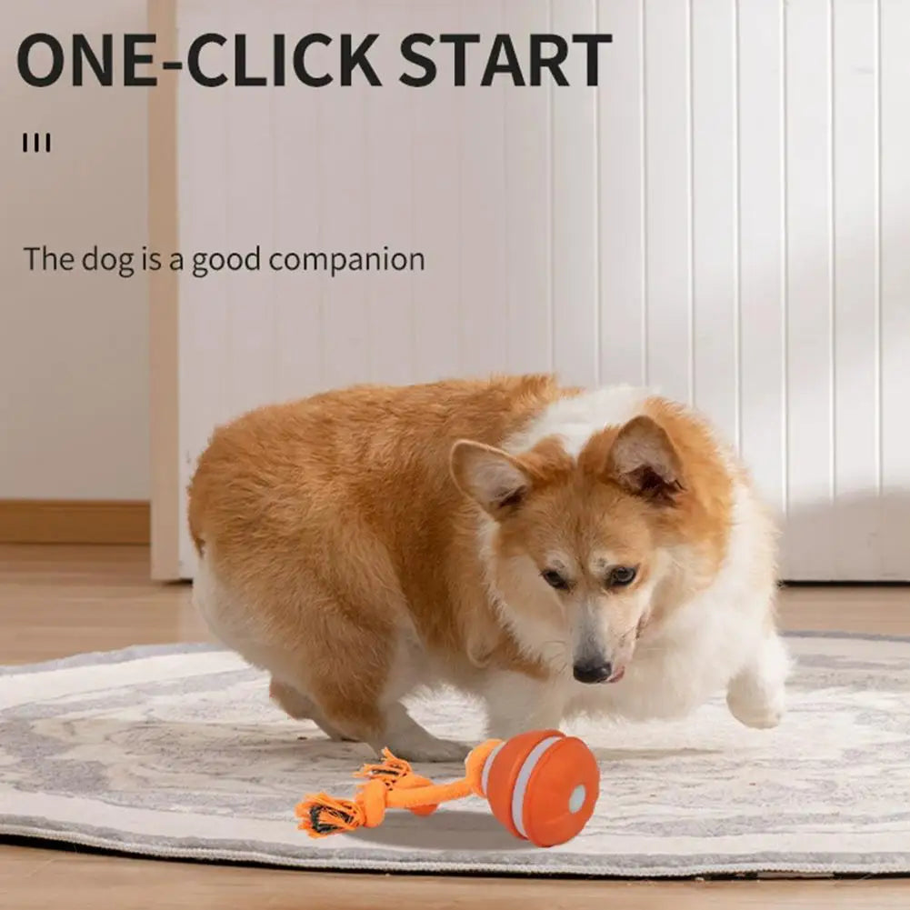 Smart Interactive Rechargeable Dog Ball – Automatic Motion Training Toy